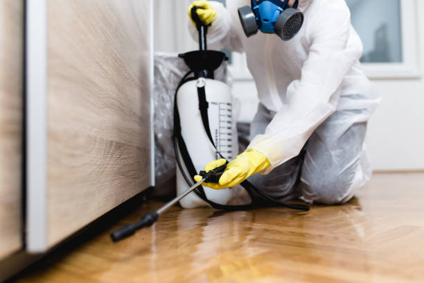 Best Commercial Pest Control Services  in Pembroke, GA