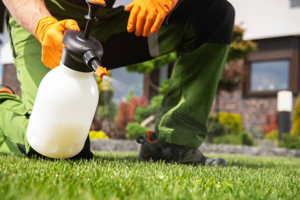 Best Local Pest Control Services  in Pembroke, GA