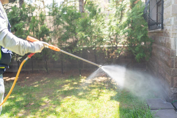 Best Exterminator Services  in Pembroke, GA