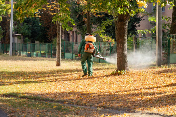 Best Affordable Pest Control Services  in Pembroke, GA
